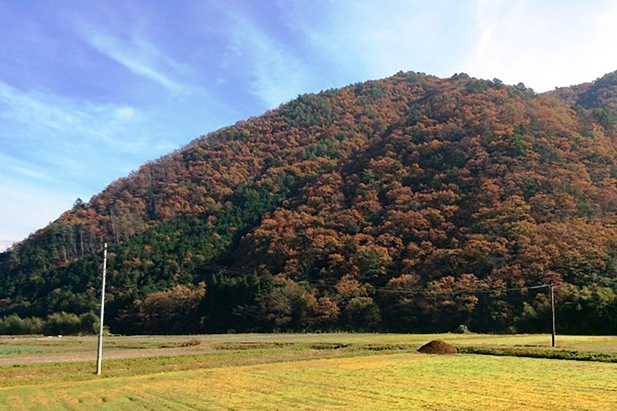 椛谷渓谷