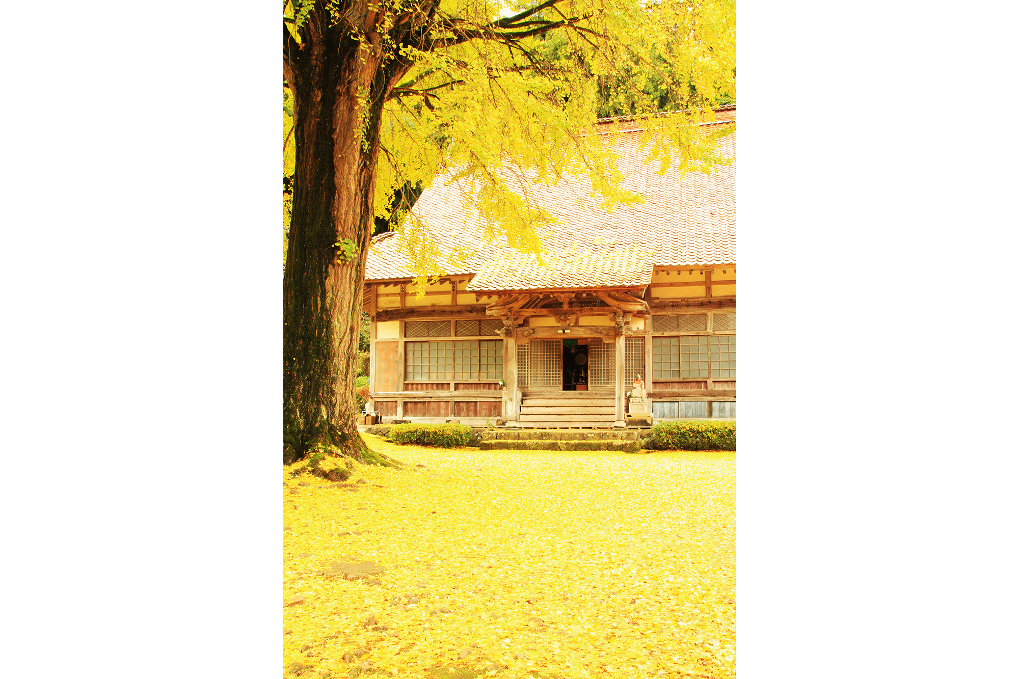 長江寺