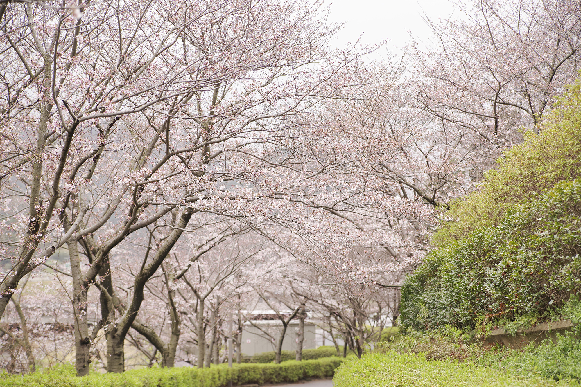 仁摩健康公園