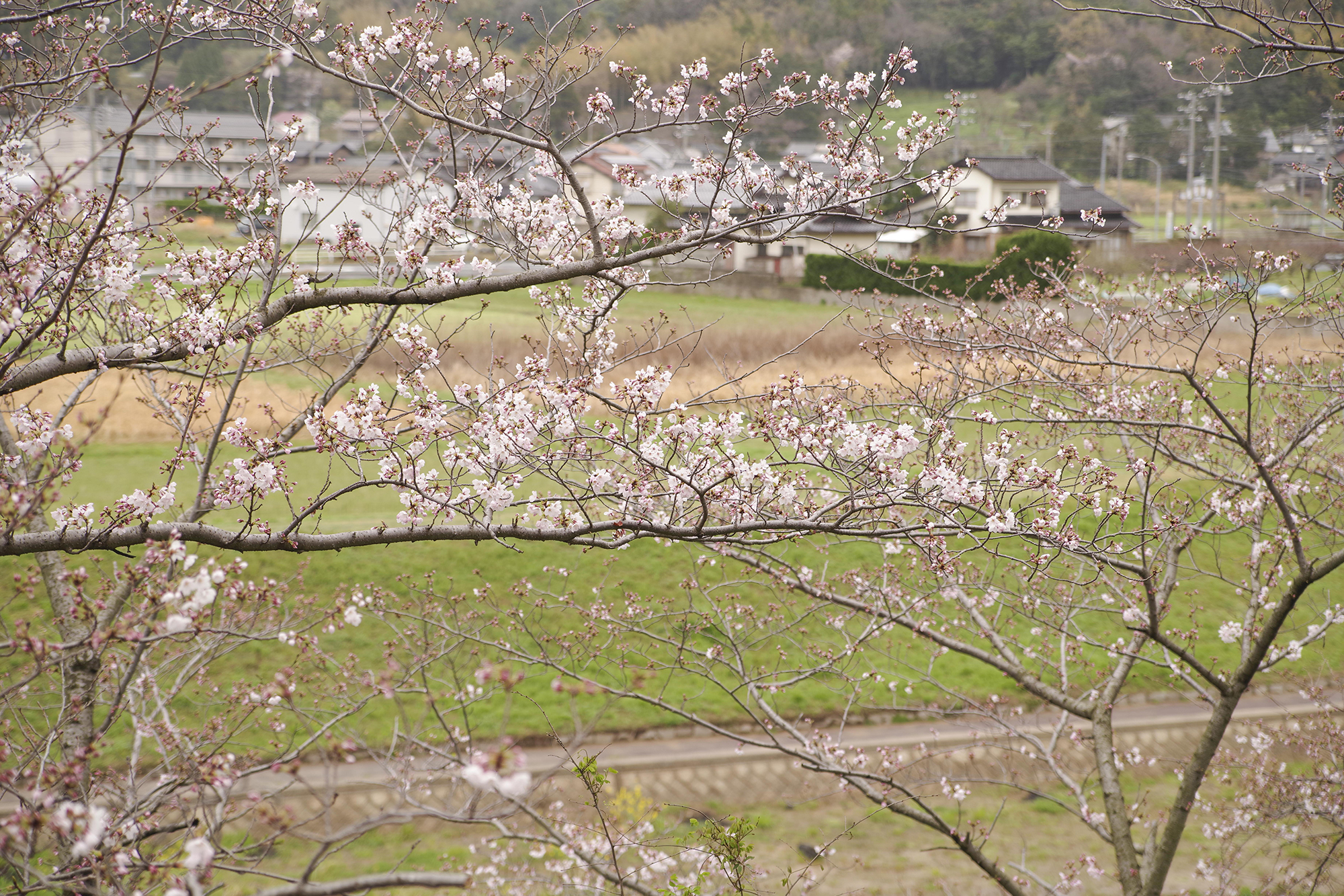 仁摩健康公園
