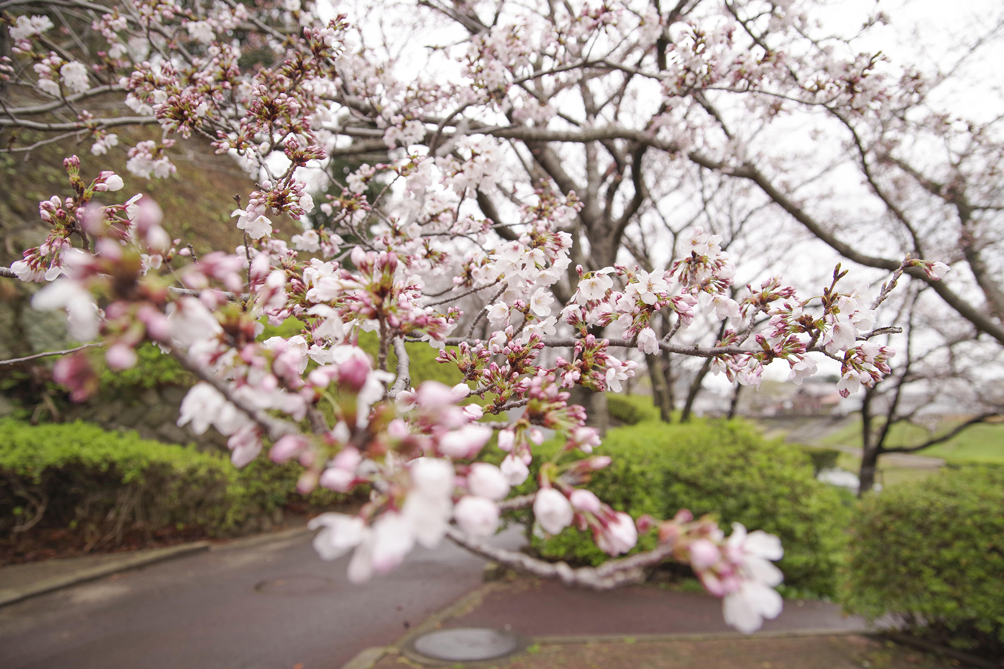 仁摩健康公園