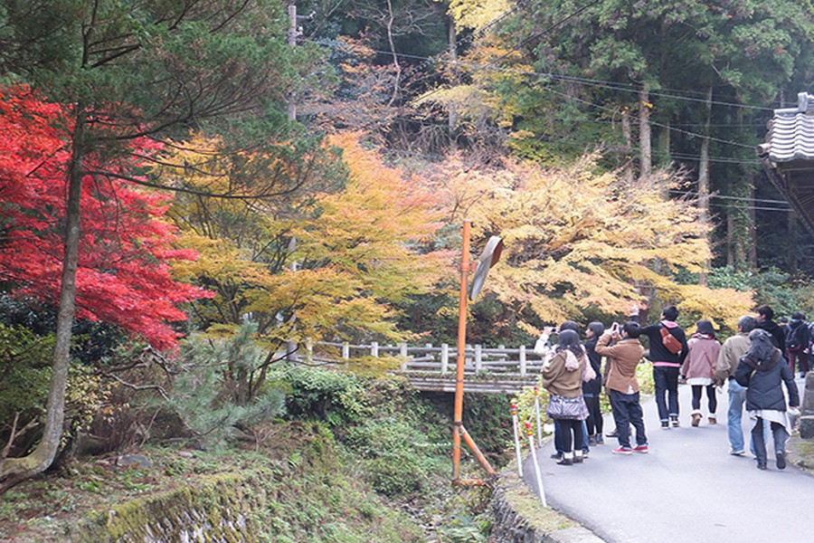 石見銀山観光ワンコインガイド（龍源寺間歩コース）