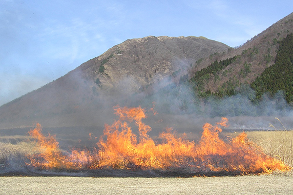 三瓶山西の原火入れ