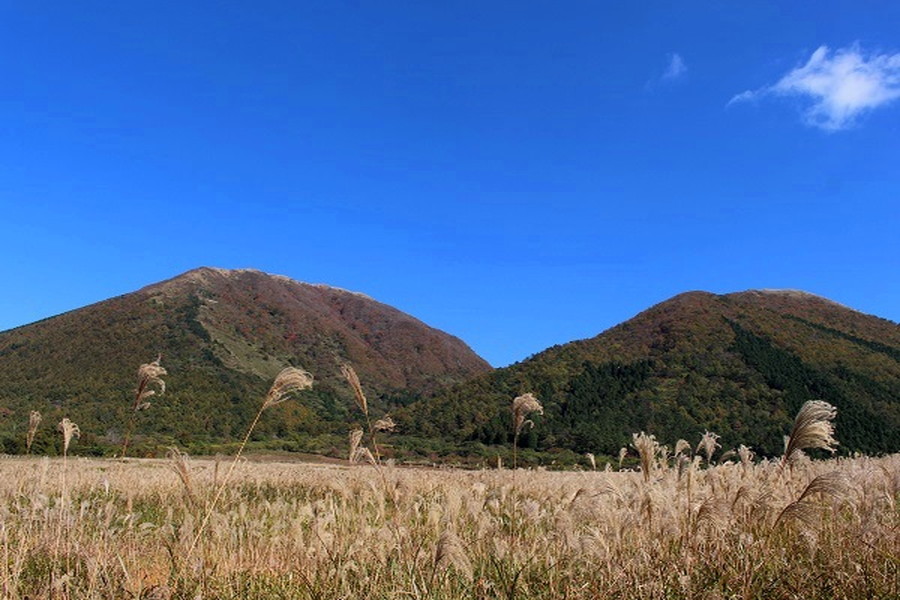三瓶山紅葉