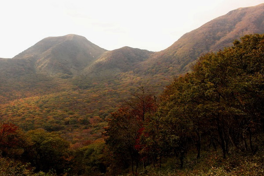 三瓶山紅葉