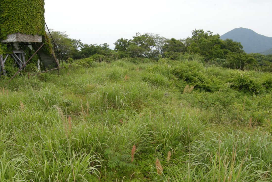 矢滝城跡