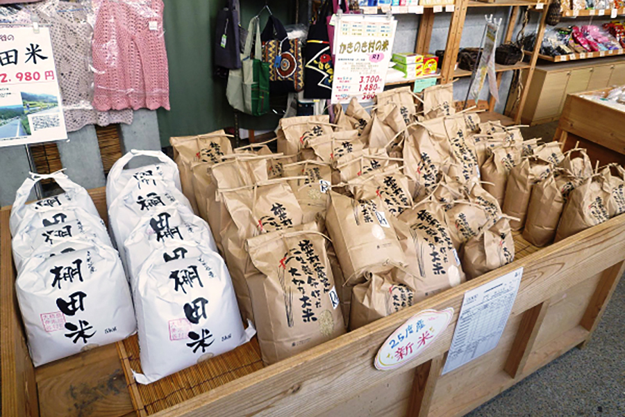 道の駅「かきのきむら」