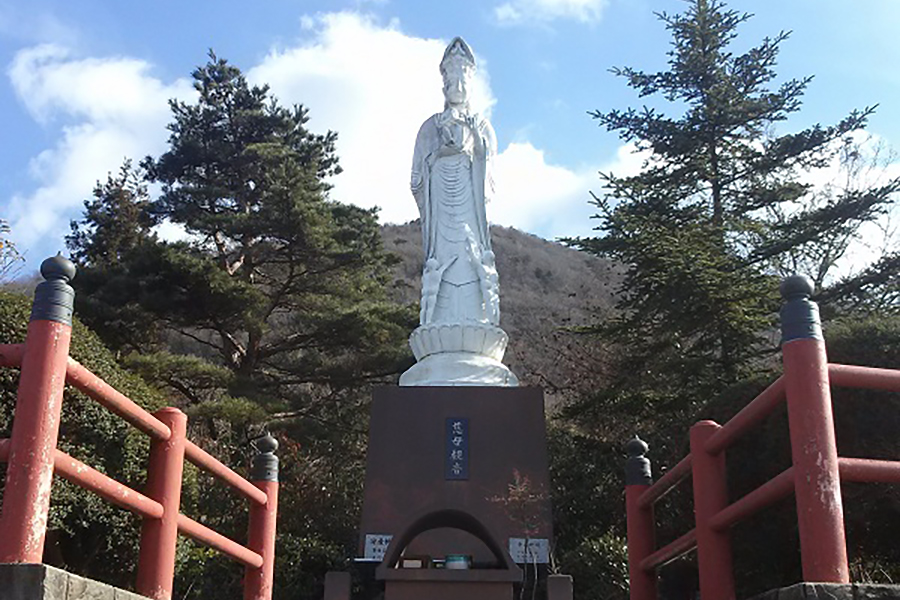 島の星山　椿の里