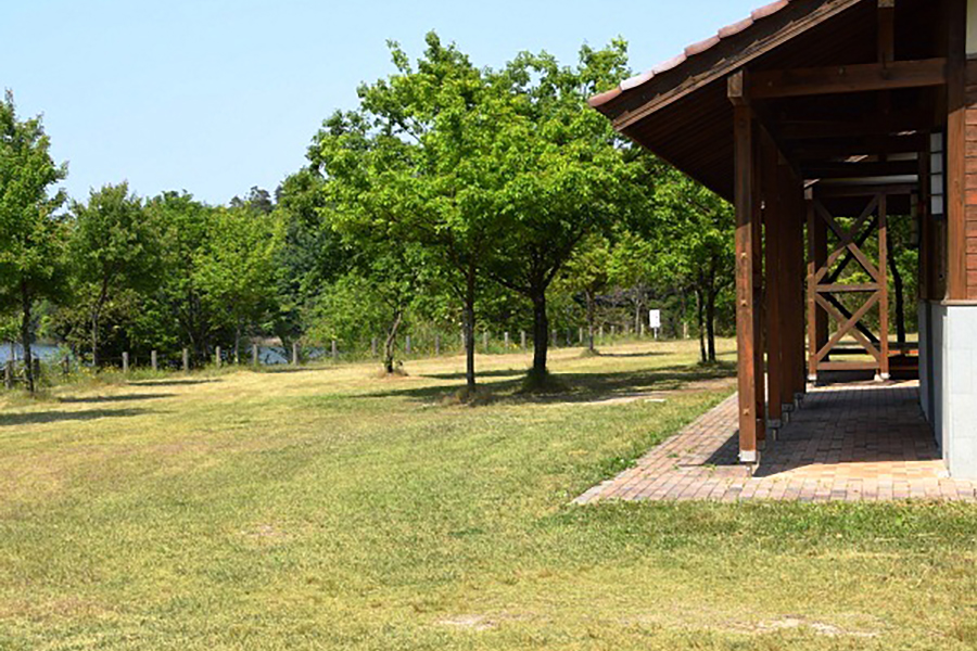菰沢公園オートキャンプ場