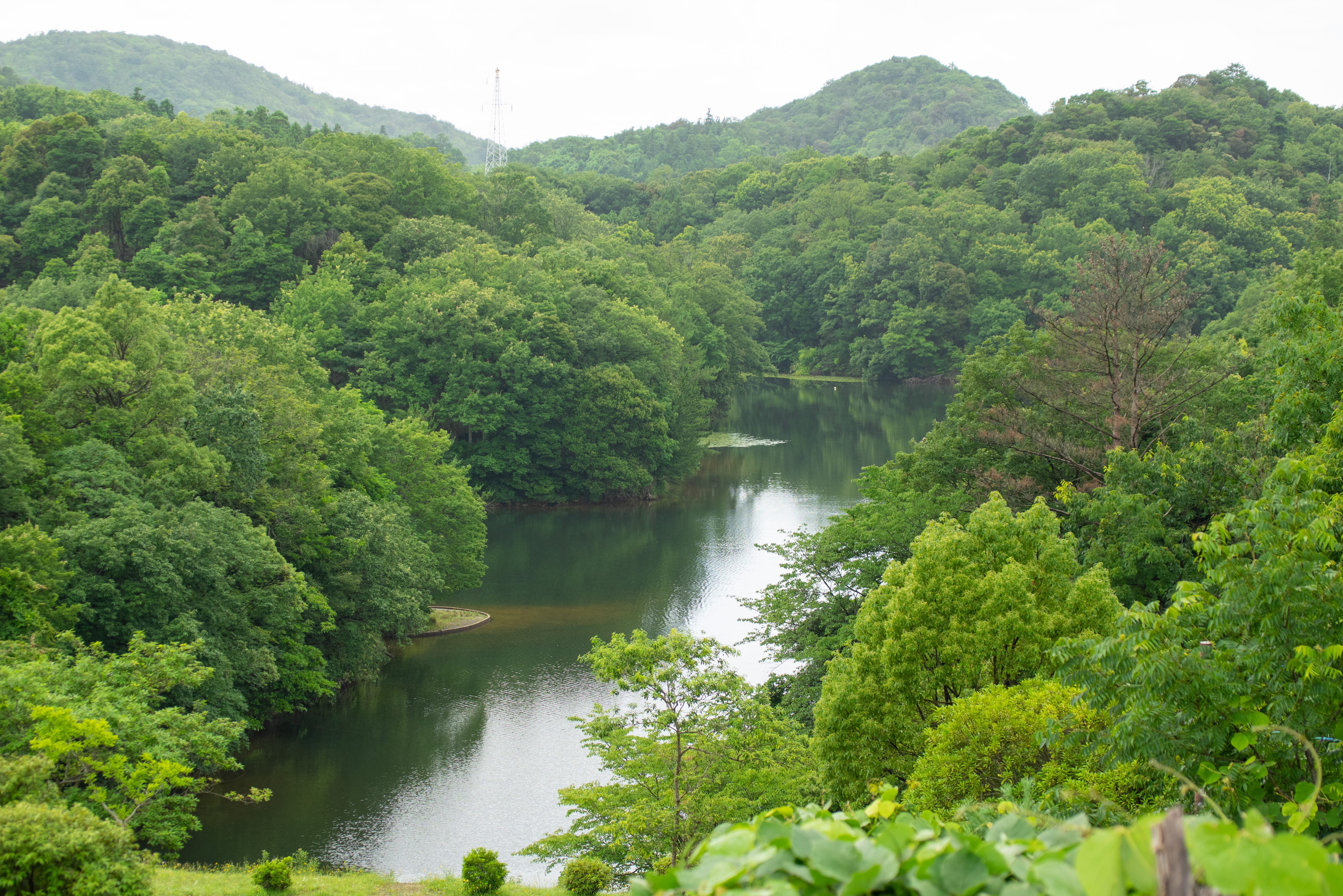 菰沢公園オートキャンプ場
