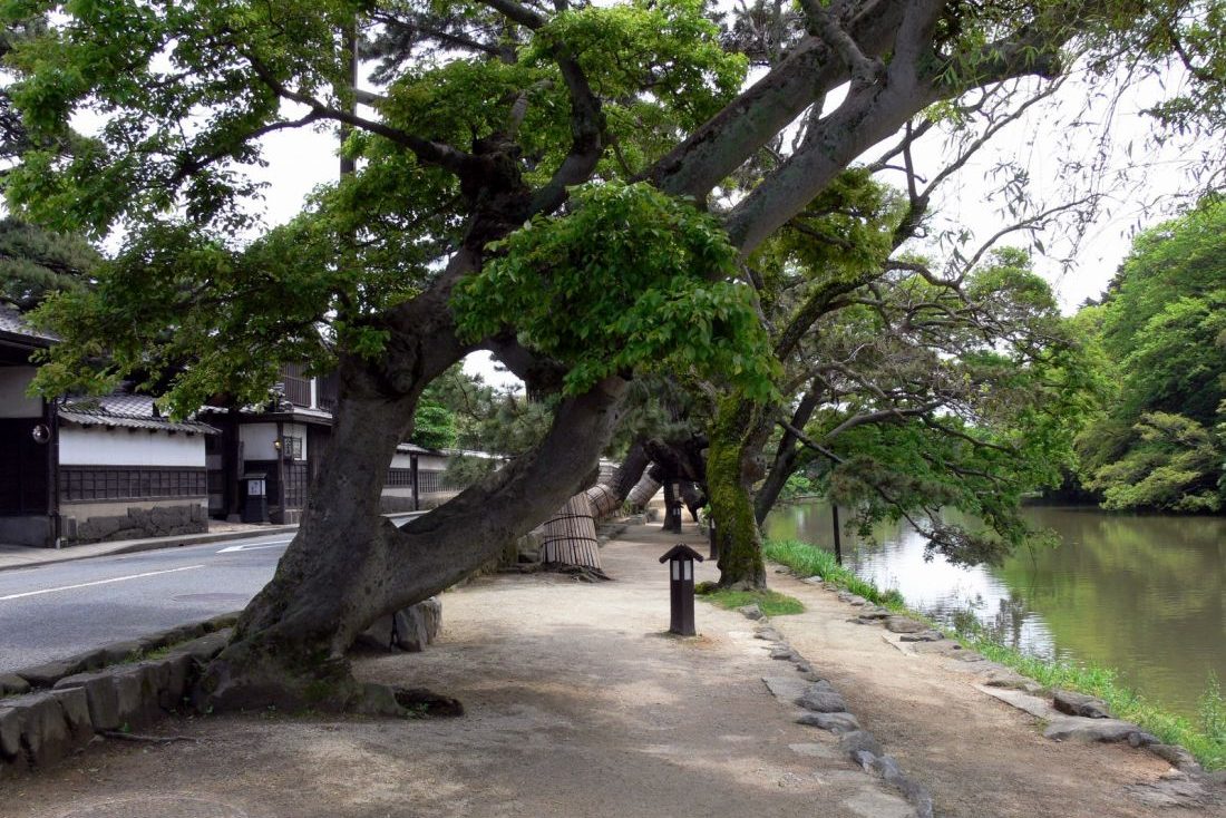 塩見縄手