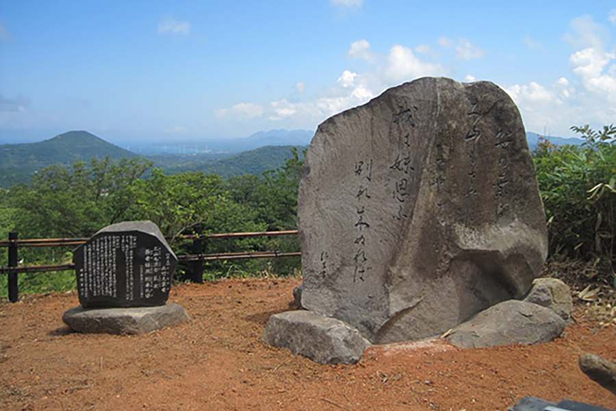 島の星山　椿の里