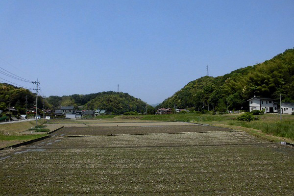 稲積山