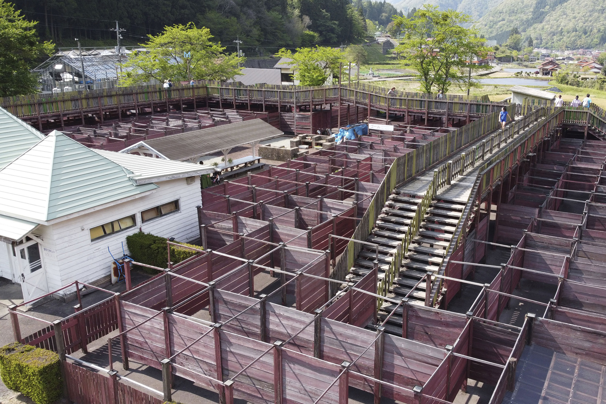 ランズボローメイズ匹見