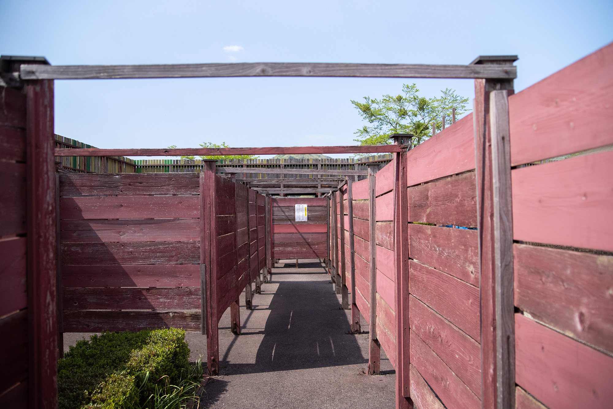 ランズボローメイズ匹見