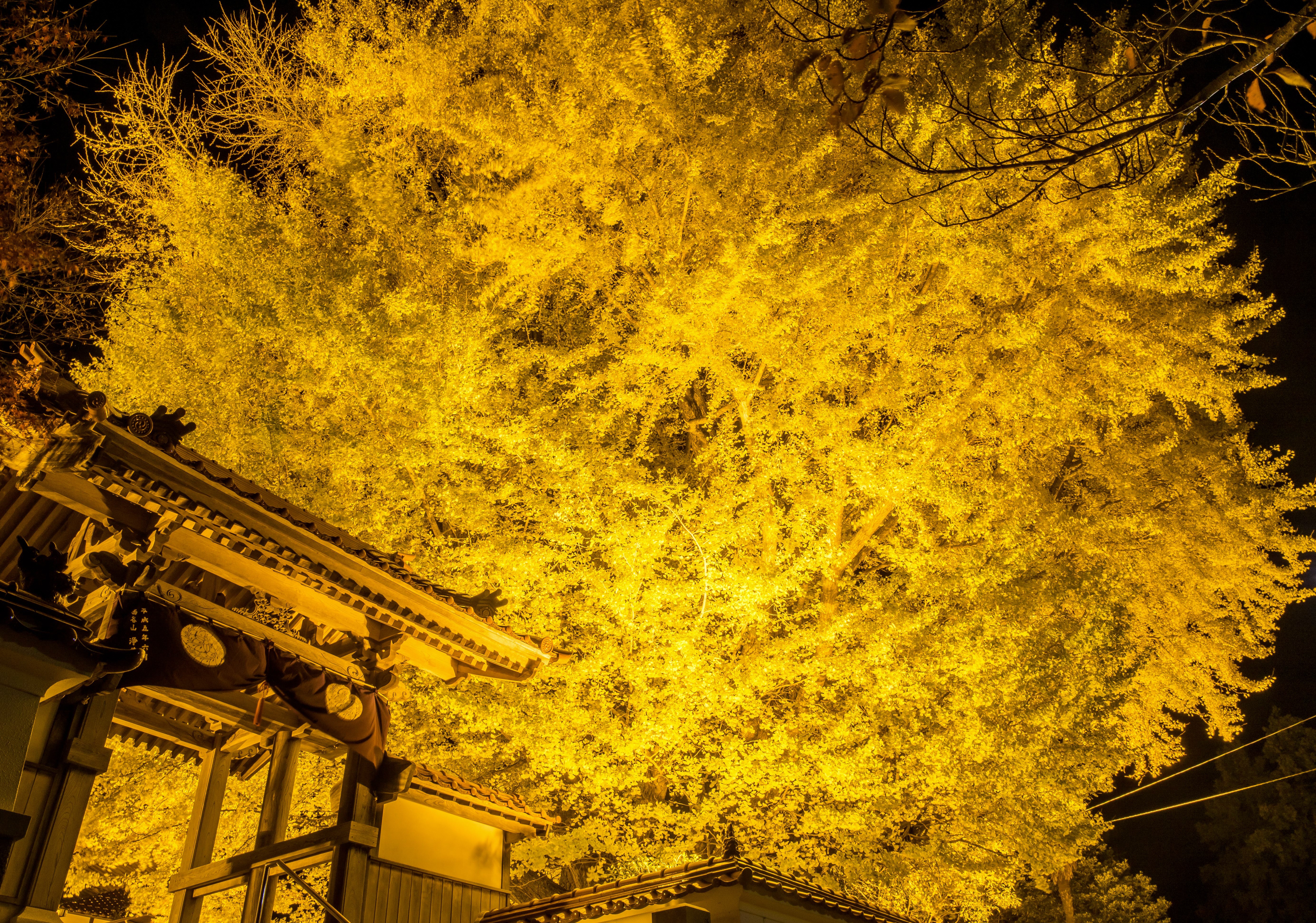 浄善寺