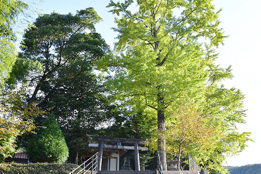 簗瀬王子神社