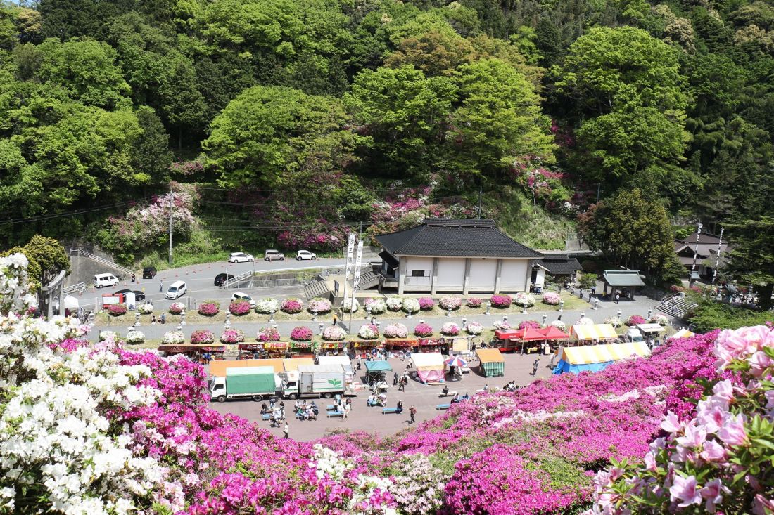 三隅のつつじウィーク