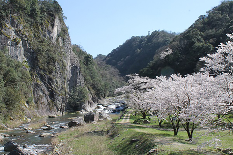 断魚渓