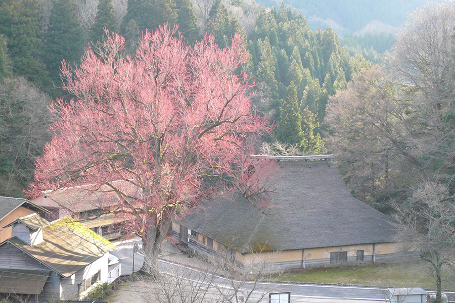鉄の歴史博物館
