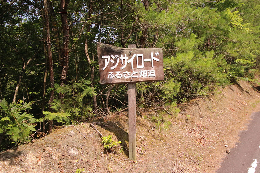 津和野のあじさいロード