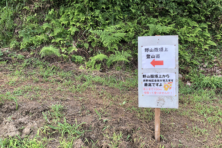 野山嶽ひまわり園