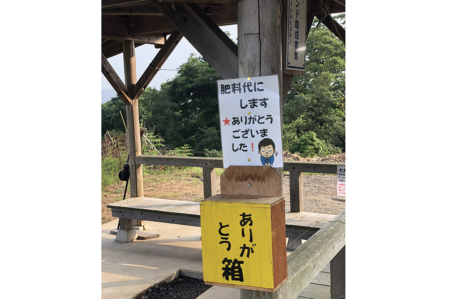 野山嶽ひまわり園