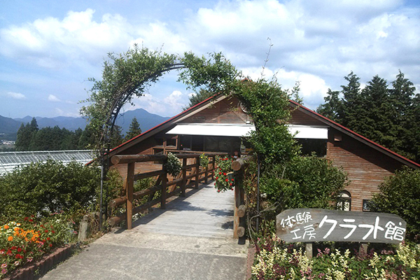 香木の森公園　ブルーベリー摘み採り体験