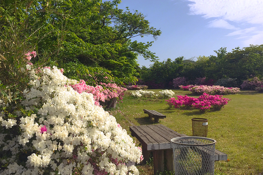 五本松公園