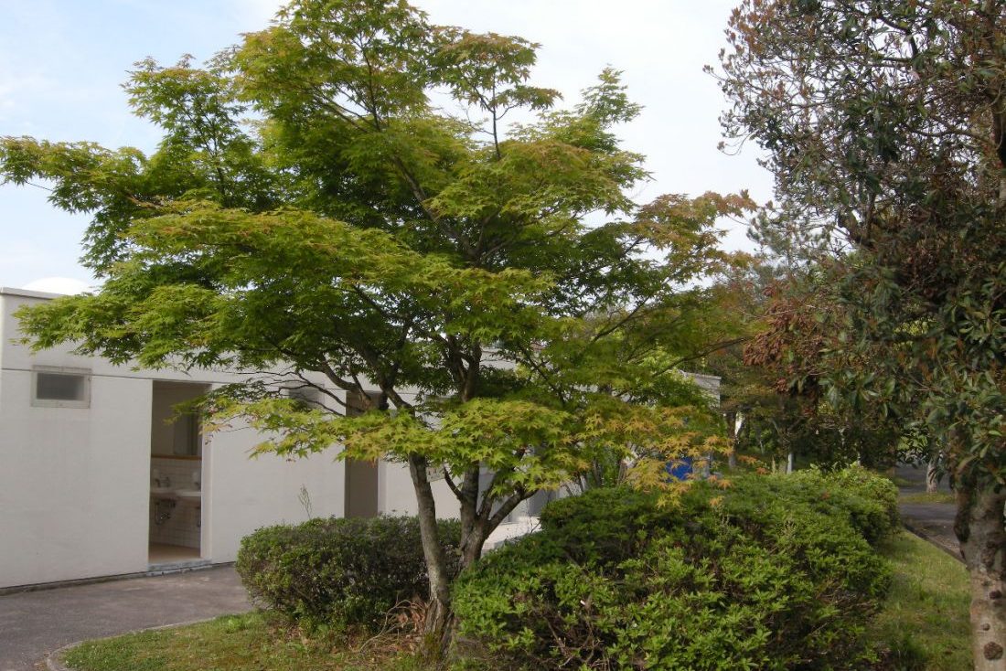 大東公園
