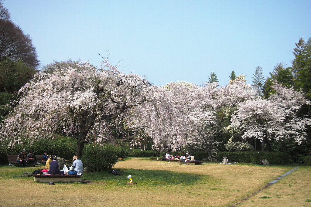 斐川公園