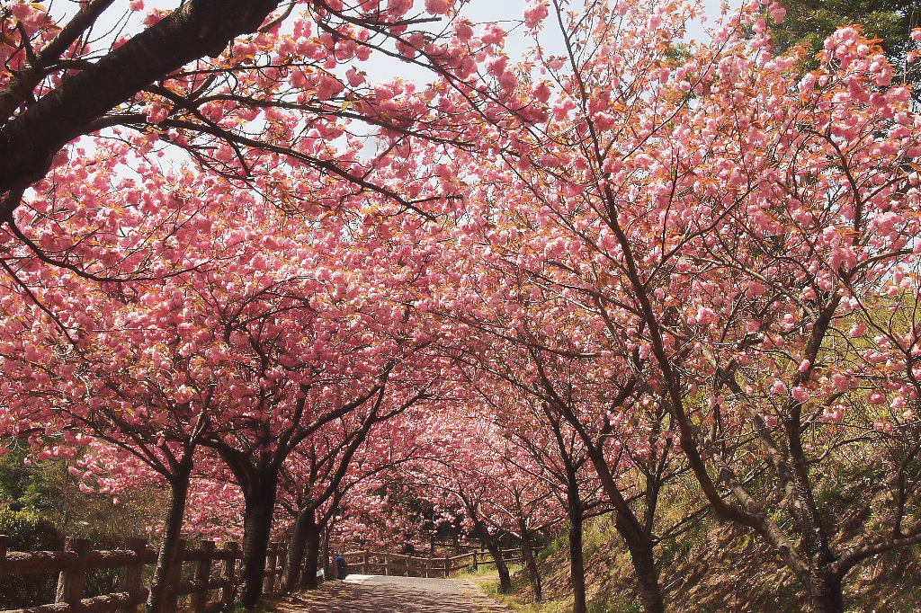 斐川公園