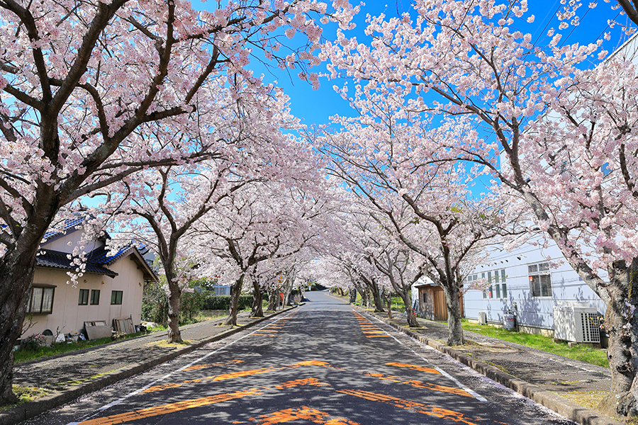 斐川公園