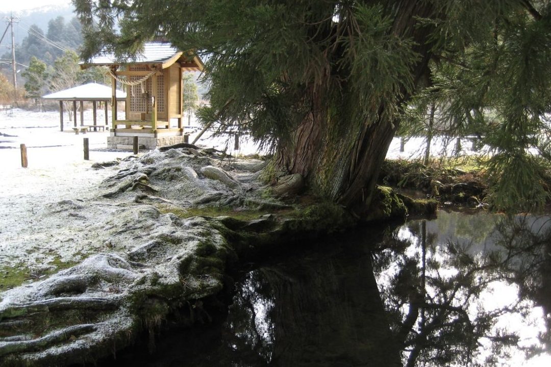 水源公園