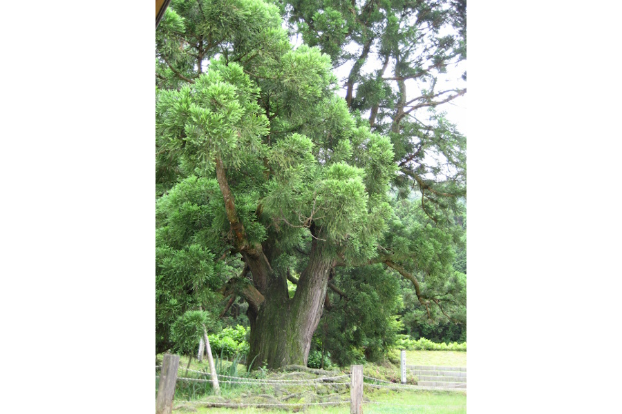 水源公園