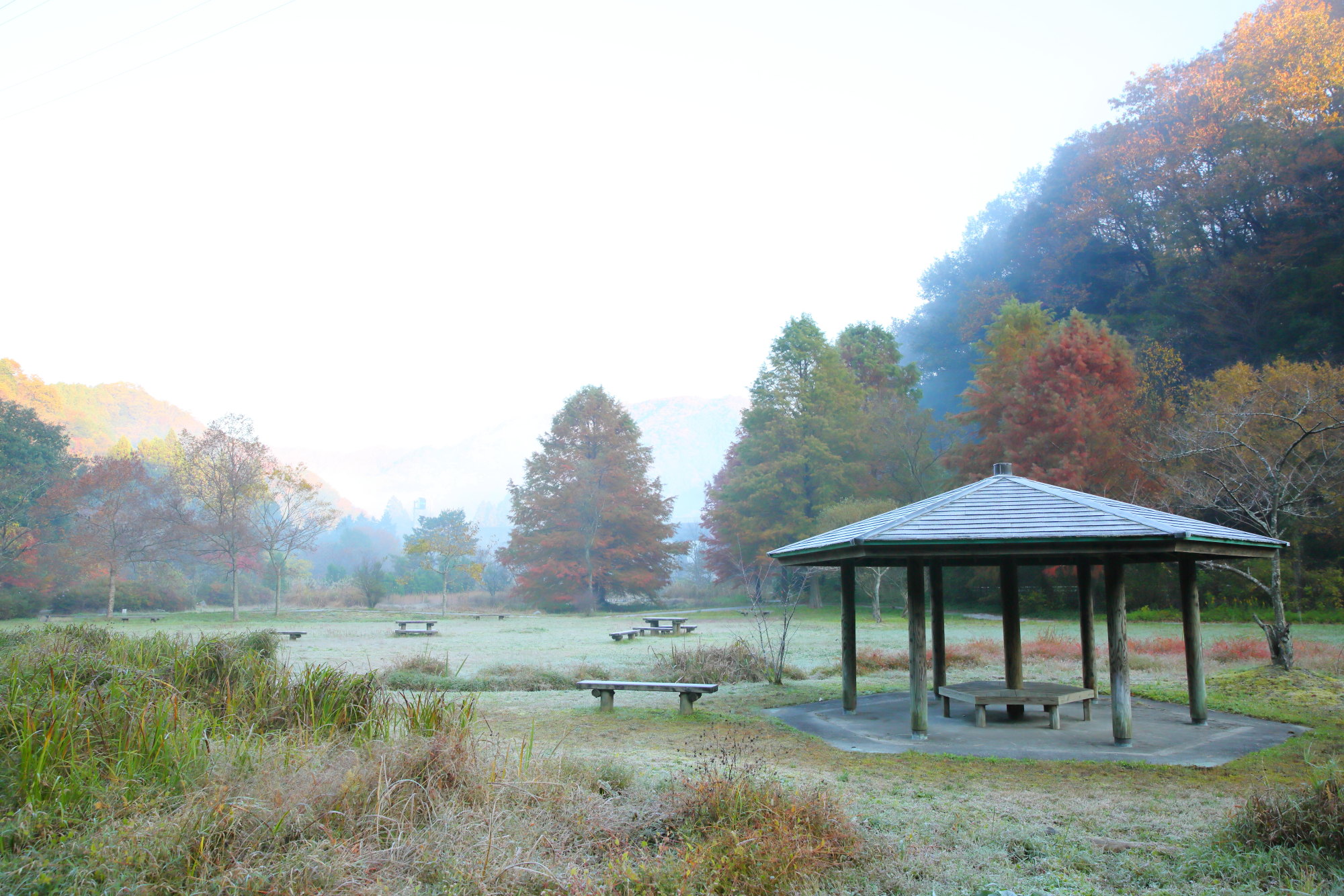 水源公園