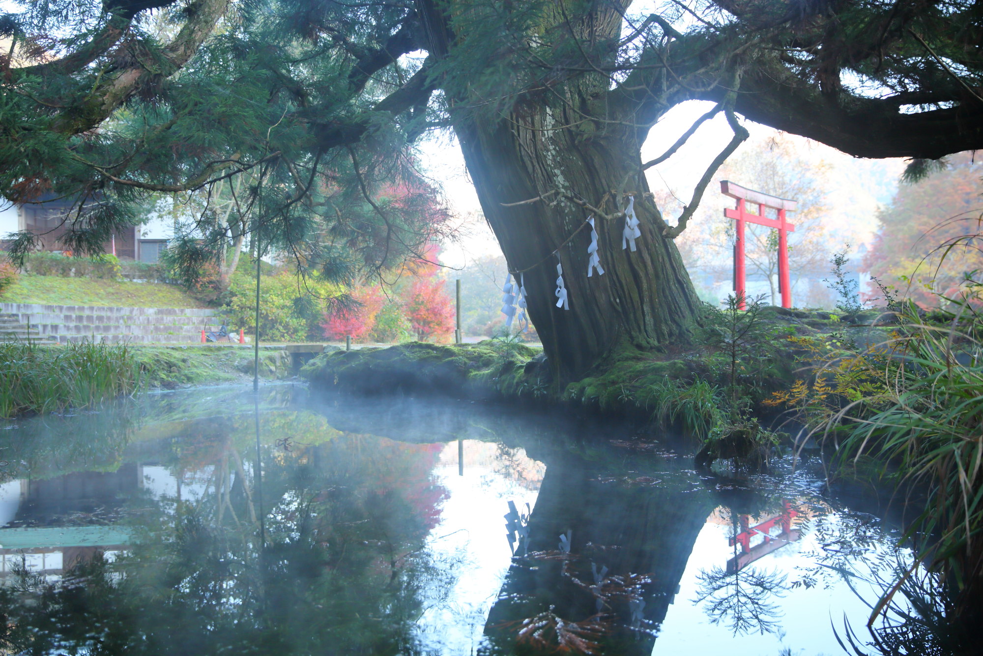 水源公園