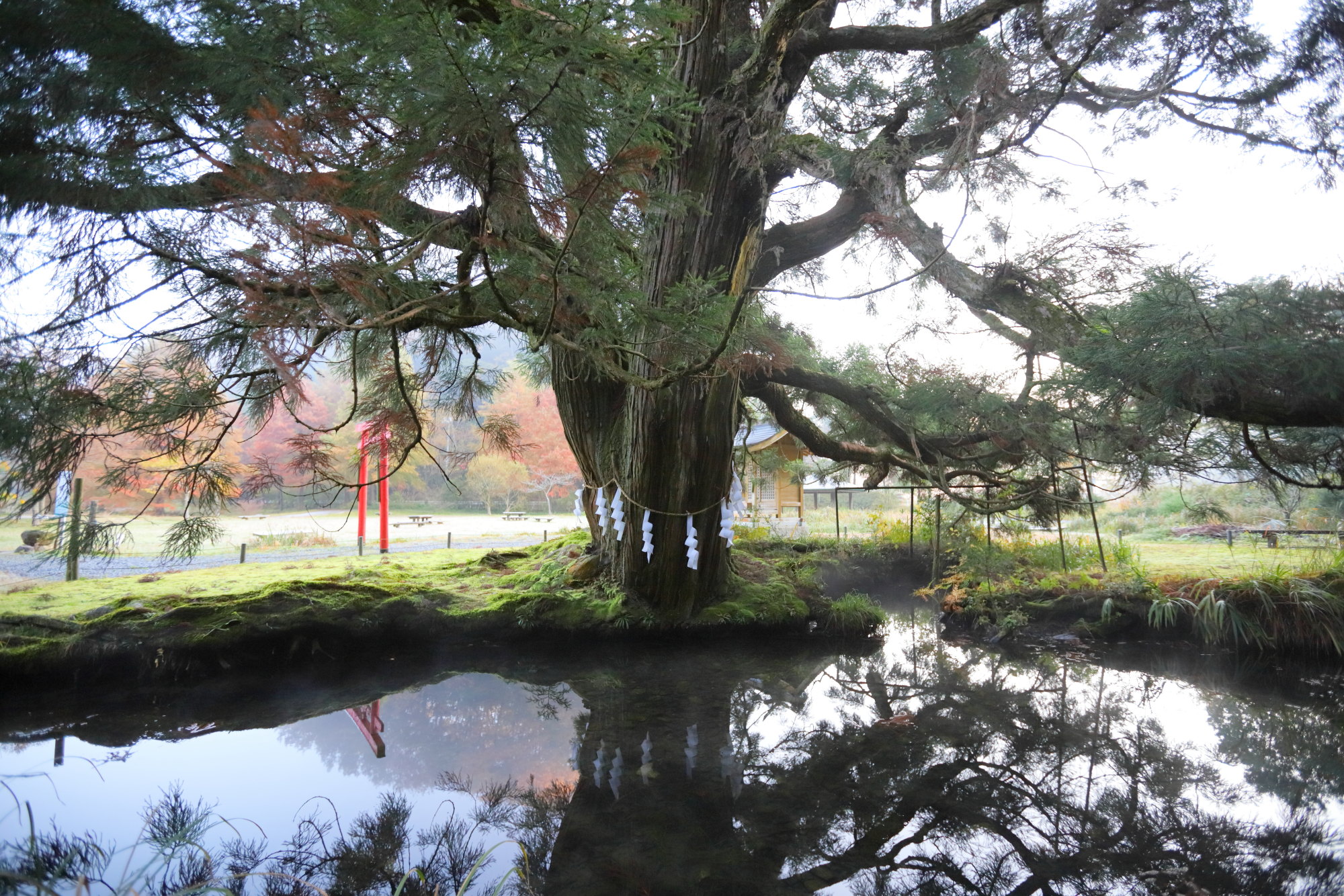 水源公園