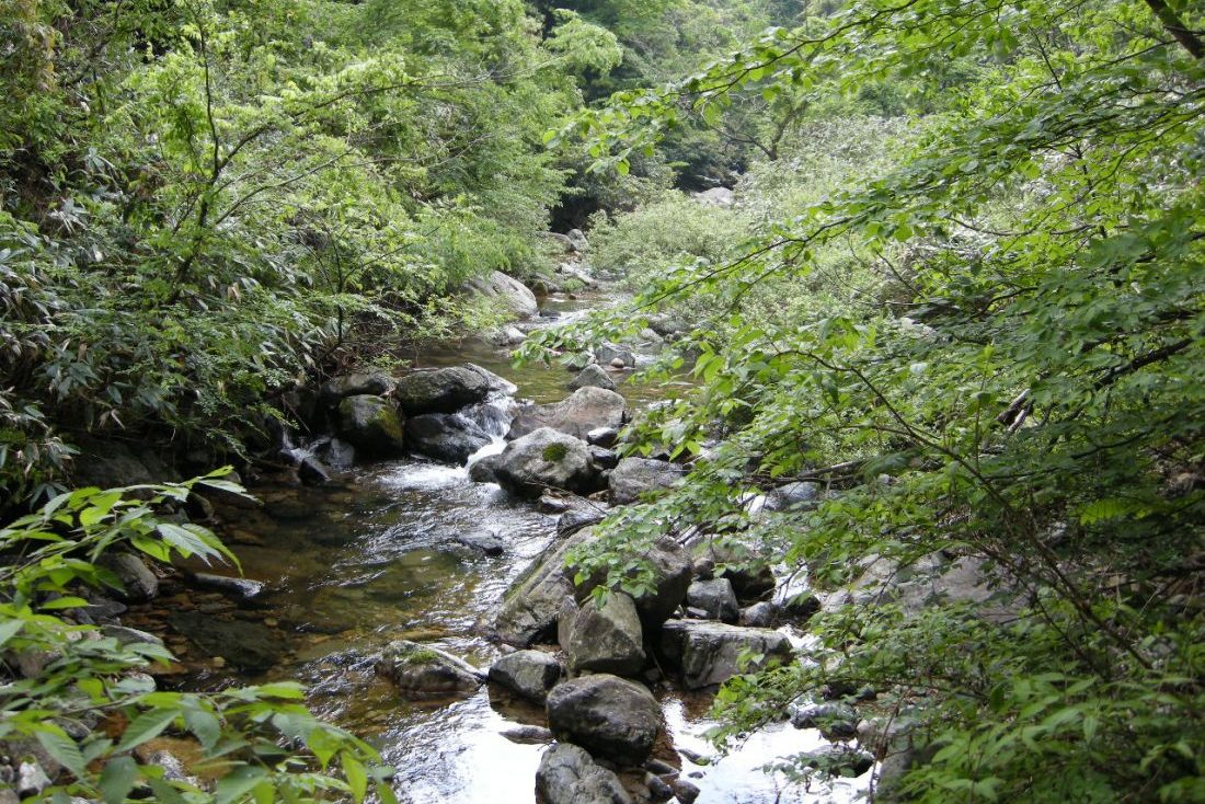 芦谷峡やまめの里