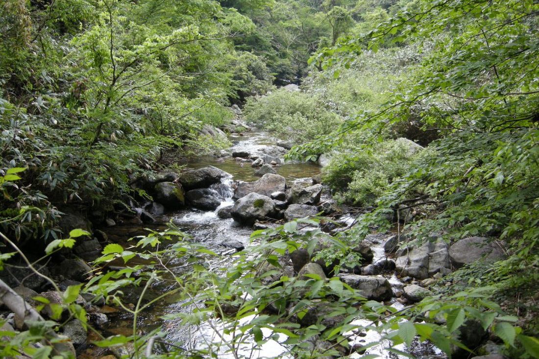 芦谷峡やまめの里