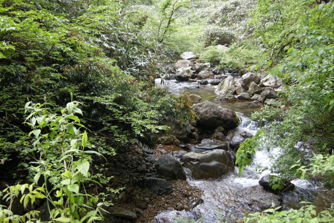 芦谷峡やまめの里