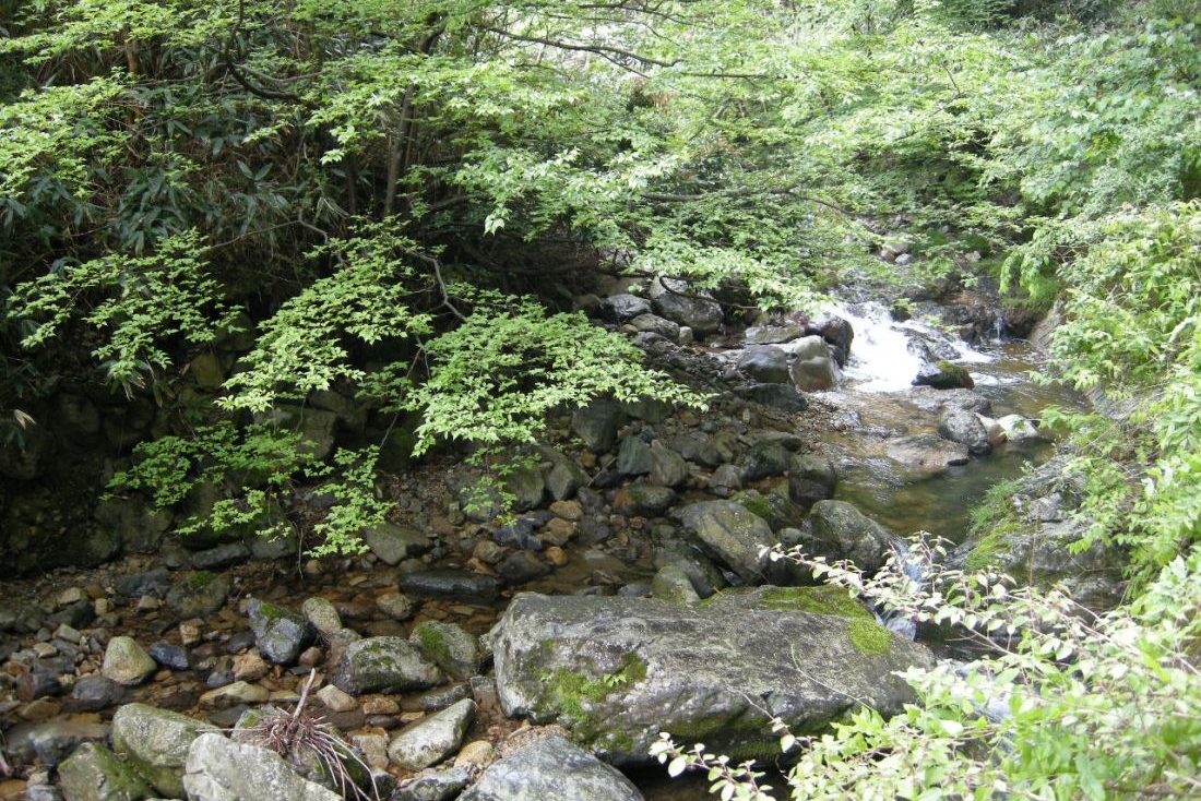 芦谷峡やまめの里