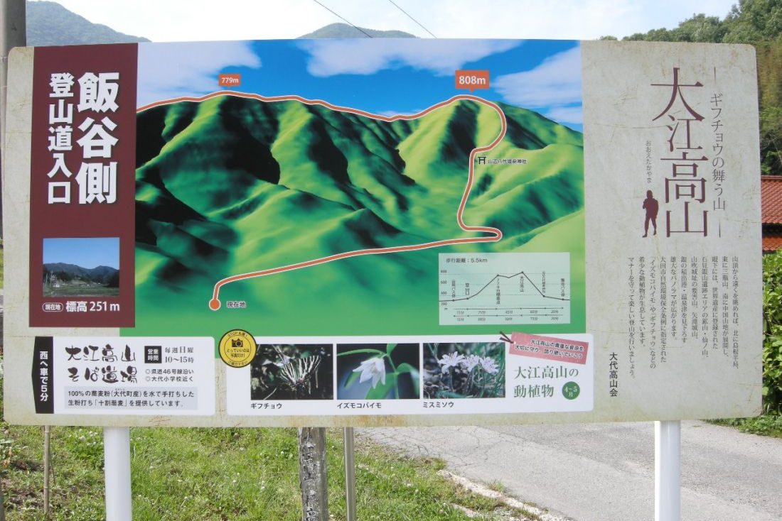 大江高山