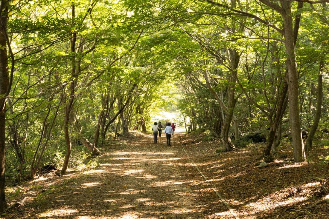 三瓶山ヘルシートレイリングコース