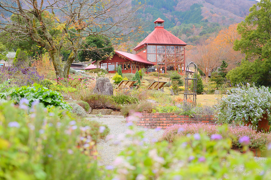 香木の森公園