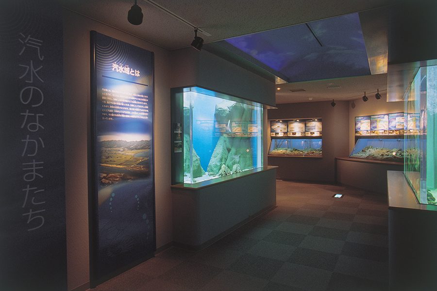 島根県立宍道湖自然館ゴビウス