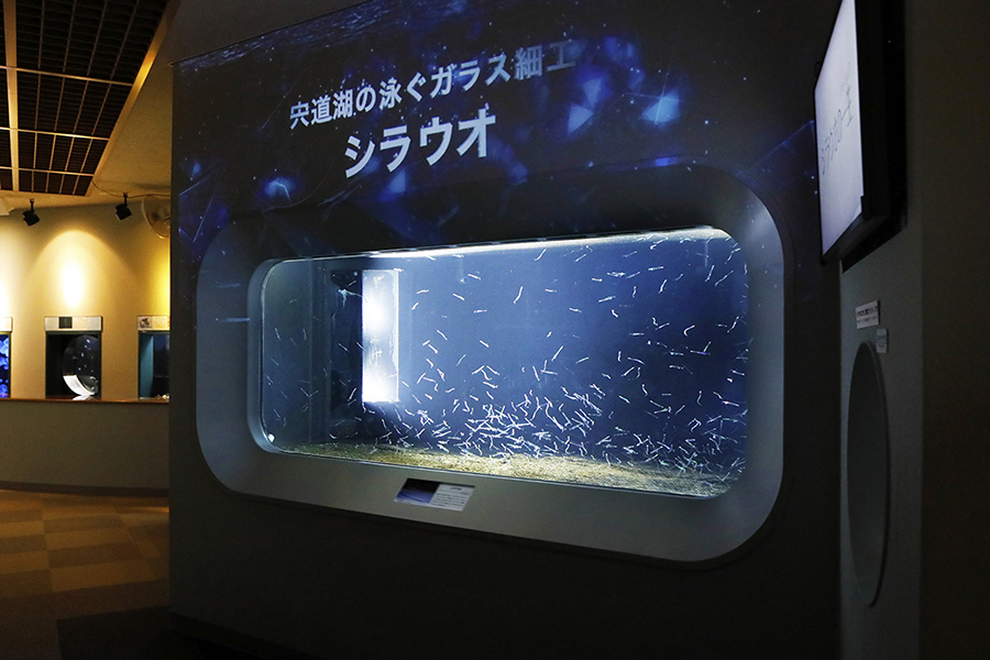 島根県立宍道湖自然館ゴビウス