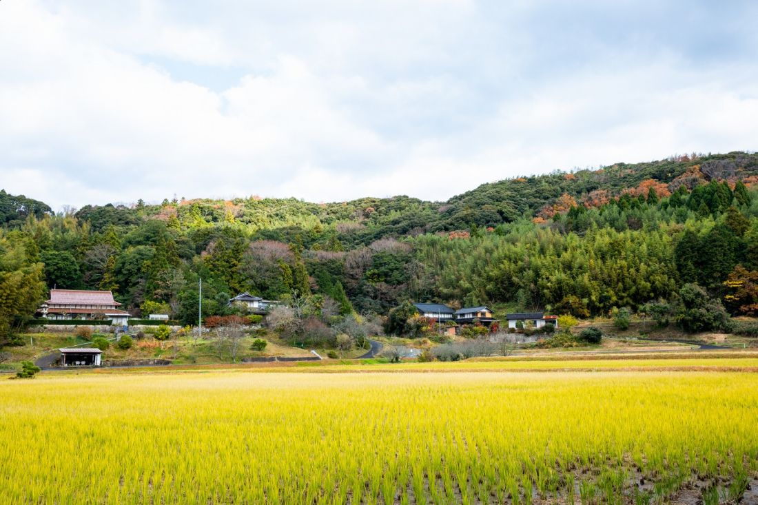 きまち湯治村　大森の湯