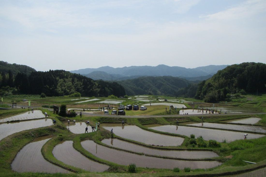 山王寺の棚田