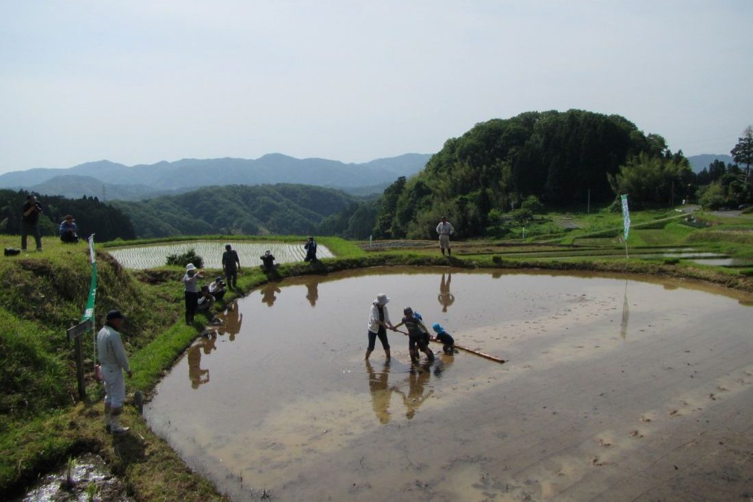 山王寺の棚田